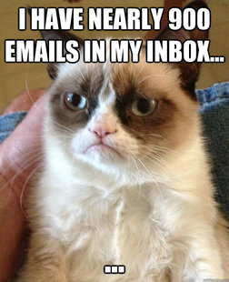 Grumpy Cat