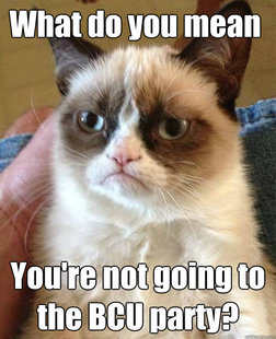Grumpy Cat