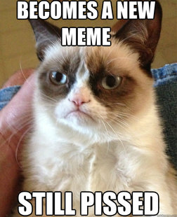 Grumpy cat