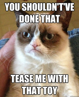 Grumpy Cat