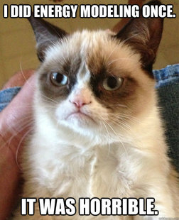 Grumpy Cat