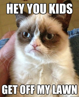 Grumpy cat