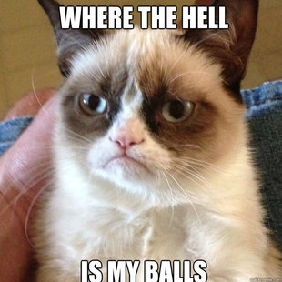 Grumpy Cat