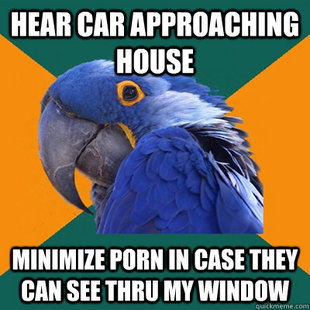 Paranoid Parrot