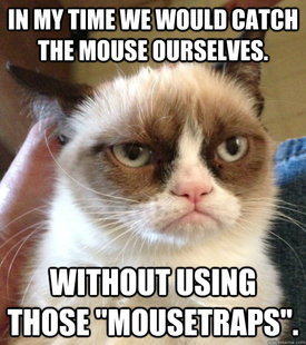 Grumpy Cat