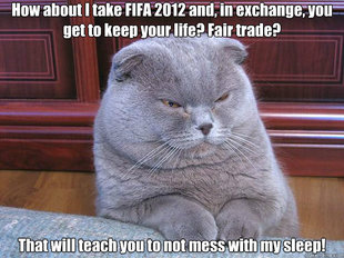 Grumpy Cat