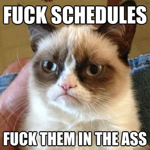 Grumpy Cat