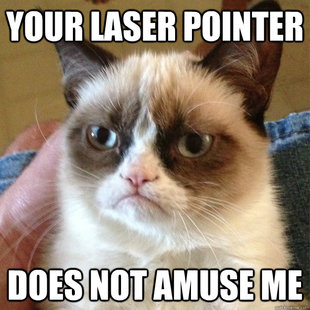 Grumpy Cat