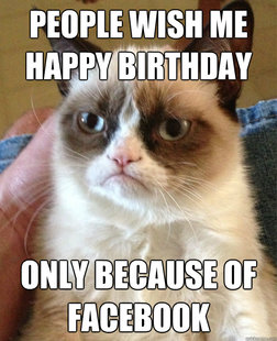 Grumpy cat