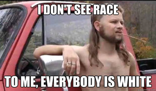 Almost Politically Correct Redneck