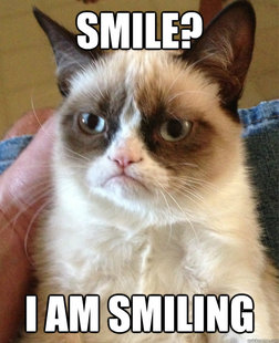 Grumpy cat