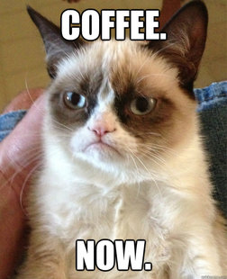 Grumpy cat