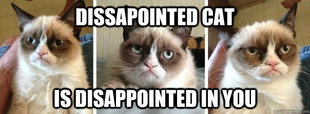Dissapointed Cat