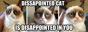 Dissapointed Cat