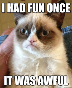 Grumpy cat