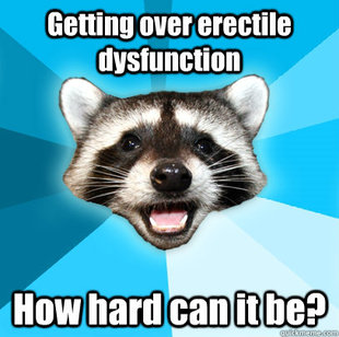 Lame Pun Coon