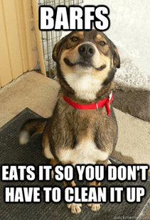 Good Dog Greg