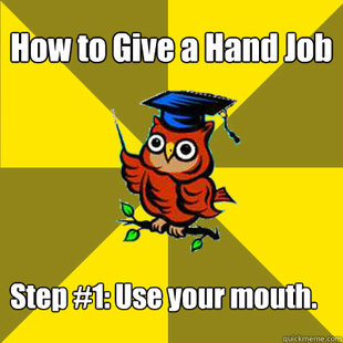 Observational Owl