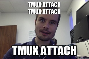 Overly attached programmer