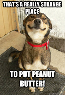 Good Dog Greg