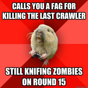 Gaming Gopher