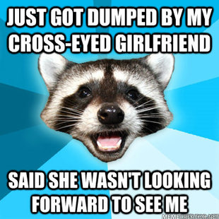 Lame Pun Coon