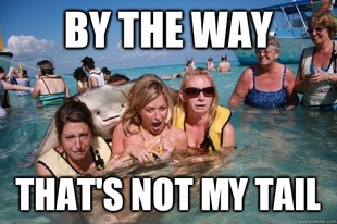 Pervert Stingray