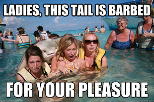 Pervert Stingray