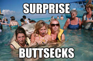 Pervert Stingray