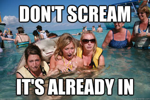 Pervert Stingray