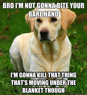 Dog Logic
