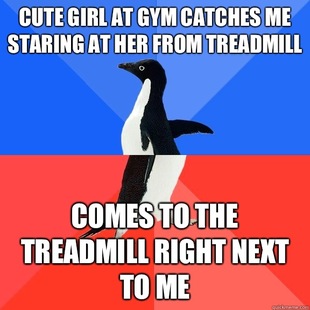Socially Awkward Awesome Penguin