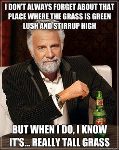 Dos Equis man