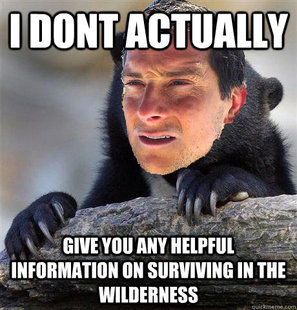 Confession Bear Grylls