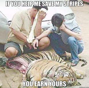 savethetigers 