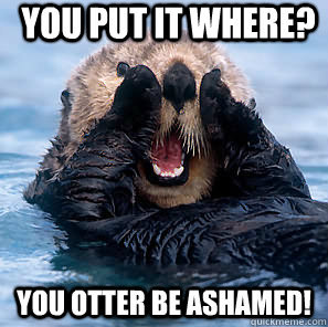 Otter Ashamed
