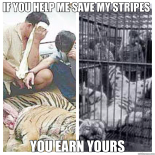 savethetigers2