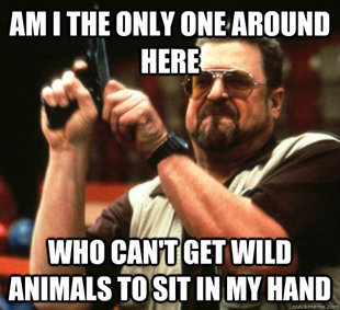 Am I The Only One Around Here