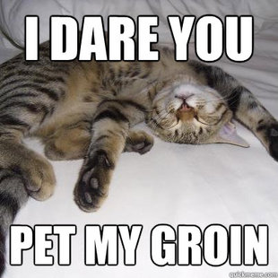 Dare you