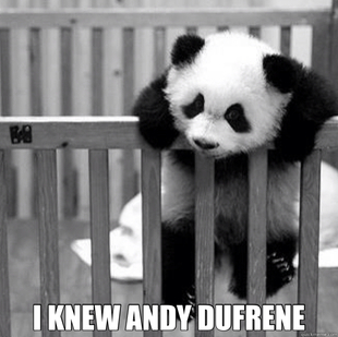 Panda Jailbreak