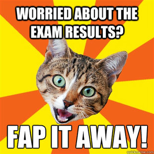 Bad Advice Cat