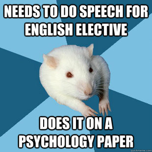 Psychology Major Rat