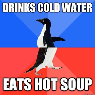Socially Awkward Awesome Penguin