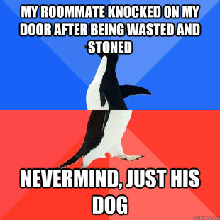 Socially Awkward Awesome Penguin