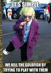 Joker kid