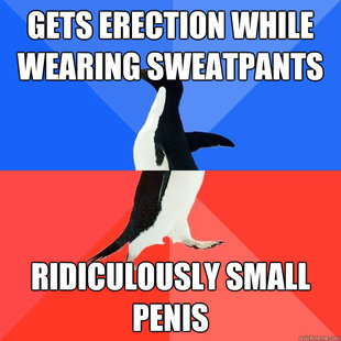 Socially Awkward Awesome Penguin