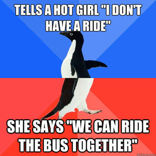 Socially Awkward Awesome Penguin