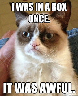 Grumpy cat