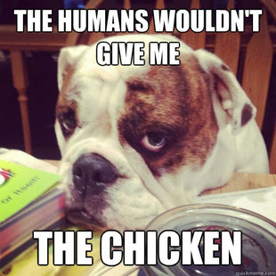 First World Dog Problems