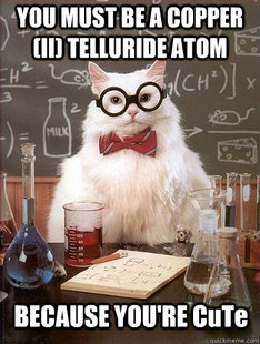 Chemistry Cat